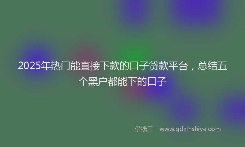 2025年热门能直接下款的口子贷款平台，总结五个黑户都能下的口子