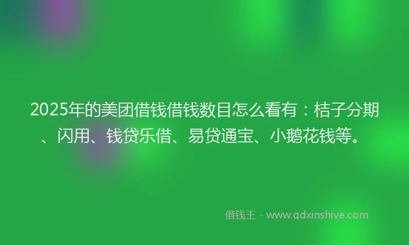 2025年的美团借钱借钱数目怎么看有：桔子分期、闪用、钱贷乐借、易贷通宝、小鹅花钱等。