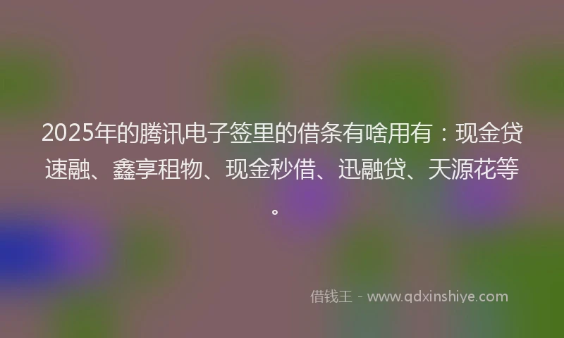2025年的腾讯电子签里的借条有啥用有：现金贷速融、鑫享租物、现金秒借、迅融贷、天源花等。