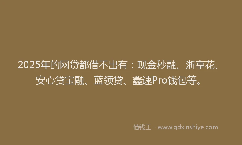 2025年的网贷都借不出有：现金秒融、浙享花、安心贷宝融、蓝领贷、鑫速Pro钱包等。