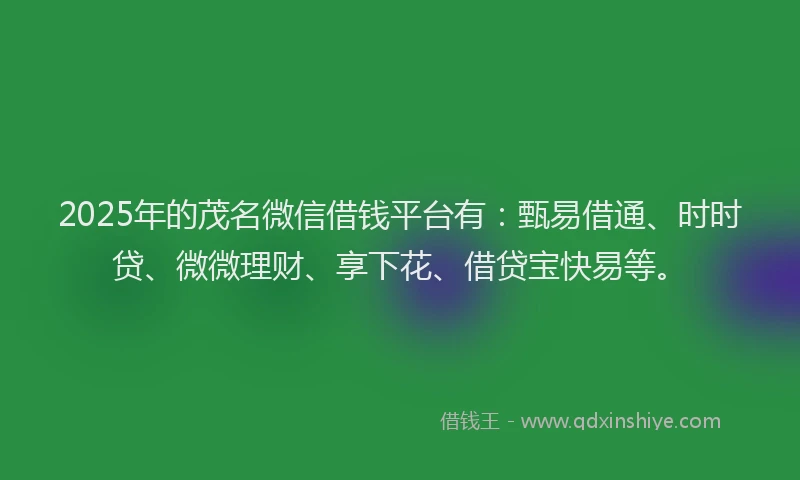 2025年的茂名微信借钱平台有：甄易借通、时时贷、微微理财、享下花、借贷宝快易等。