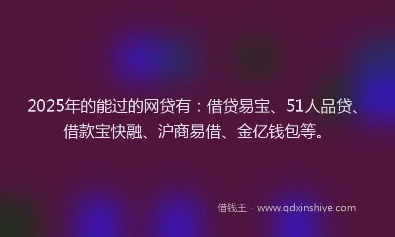 2025年的能过的网贷有：借贷易宝、51人品贷、借款宝快融、沪商易借、金亿钱包等。