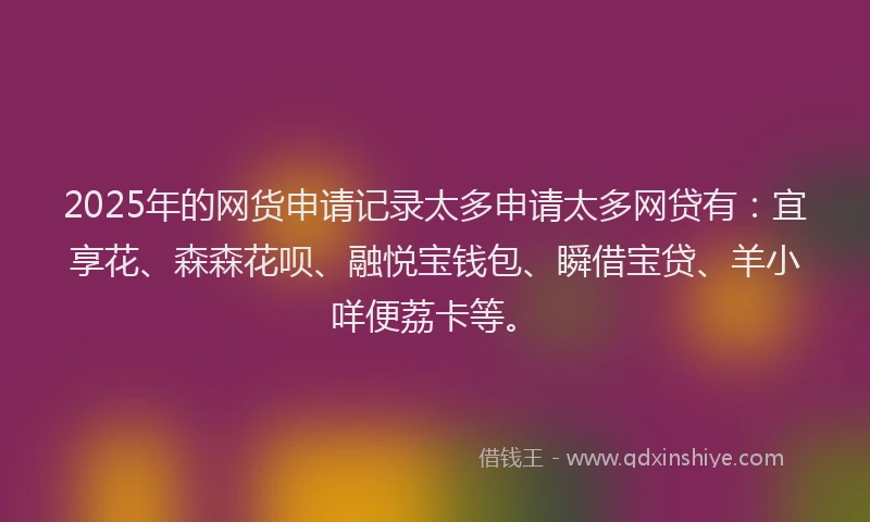 2025年的网货申请记录太多申请太多网贷有：宜享花、森森花呗、融悦宝钱包、瞬借宝贷、羊小咩便荔卡等。