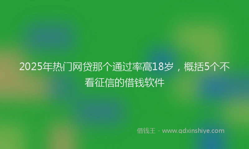 2025年热门网贷那个通过率高18岁，概括5个不看征信的借钱软件