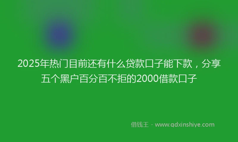 2025年热门目前还有什么贷款口子能下款，分享五个黑户百分百不拒的2000借款口子