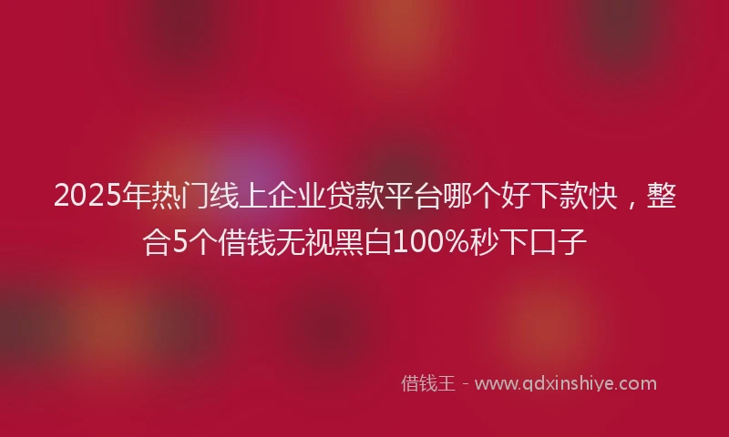 2025年热门线上企业贷款平台哪个好下款快，整合5个借钱无视黑白100%秒下口子