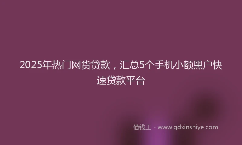 2025年热门网货贷款，汇总5个手机小额黑户快速贷款平台