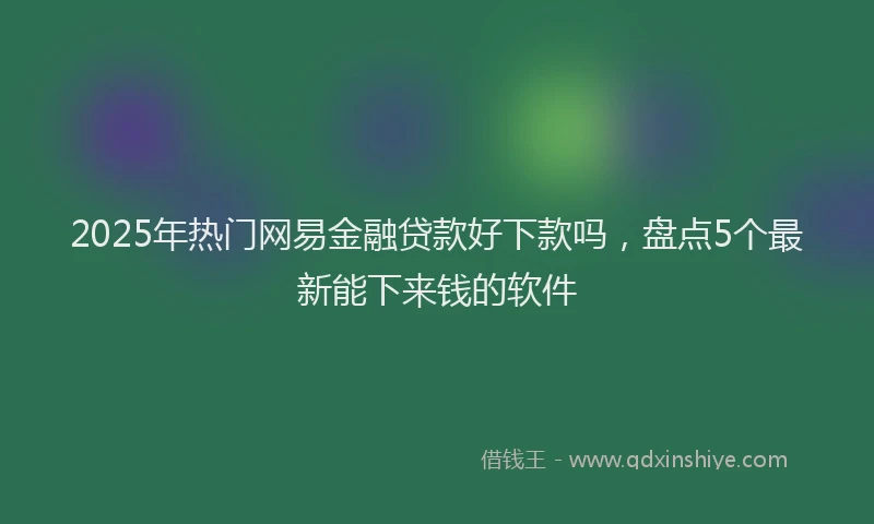 2025年热门网易金融贷款好下款吗，盘点5个最新能下来钱的软件