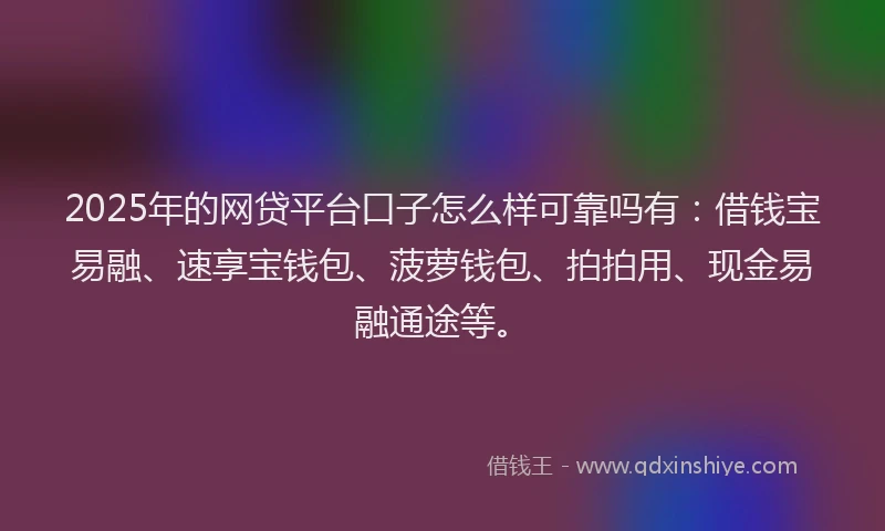 2025年的网贷平台口子怎么样可靠吗有：借钱宝易融、速享宝钱包、菠萝钱包、拍拍用、现金易融通途等。