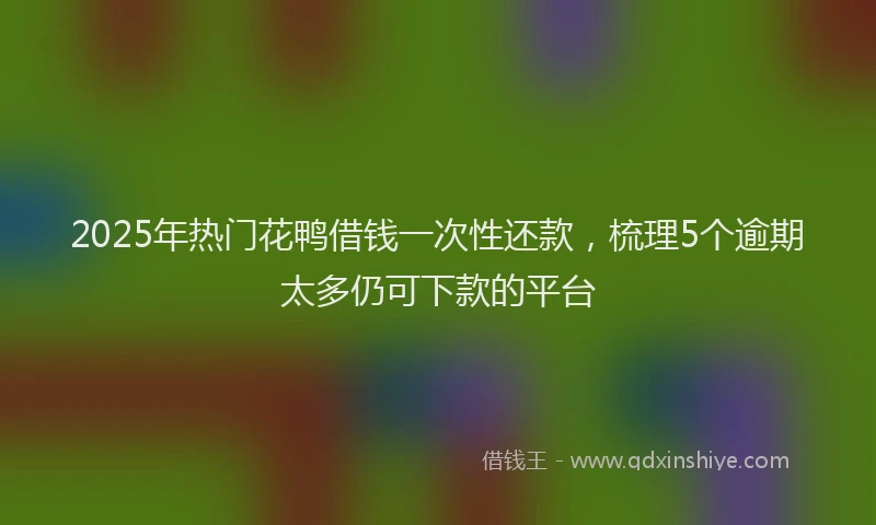 2025年热门花鸭借钱一次性还款，梳理5个逾期太多仍可下款的平台