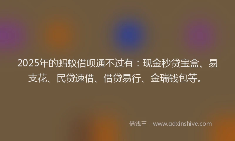 2025年的蚂蚁借呗通不过有：现金秒贷宝盒、易支花、民贷速借、借贷易行、金瑞钱包等。