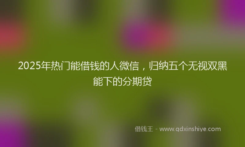 2025年热门能借钱的人微信，归纳五个无视双黑能下的分期贷