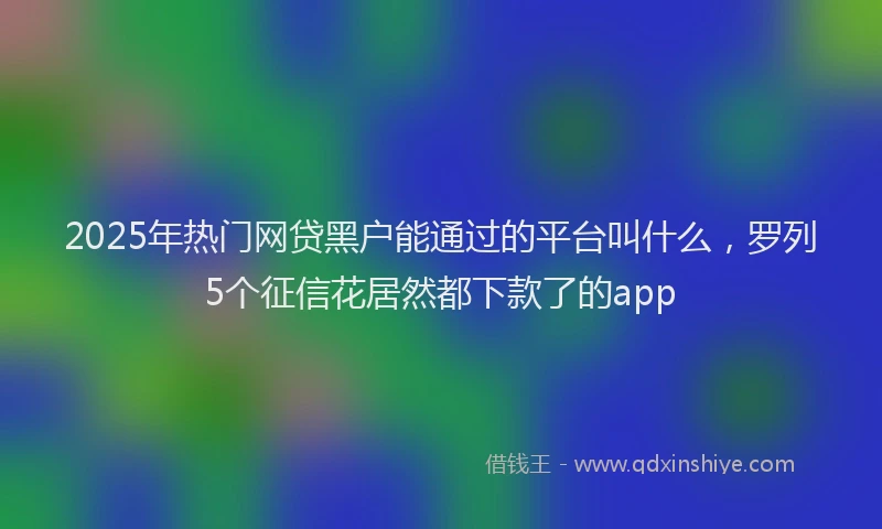2025年热门网贷黑户能通过的平台叫什么，罗列5个征信花居然都下款了的app