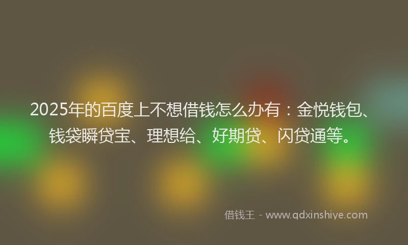 2025年的百度上不想借钱怎么办有：金悦钱包、钱袋瞬贷宝、理想给、好期贷、闪贷通等。