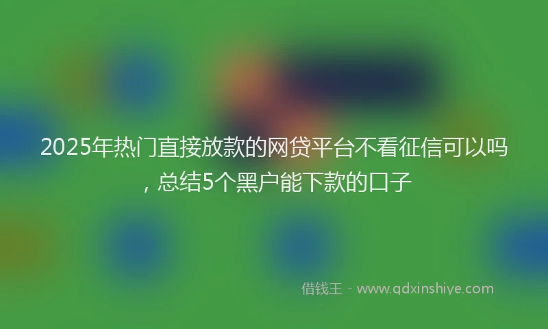 2025年热门直接放款的网贷平台不看征信可以吗，总结5个黑户能下款的口子