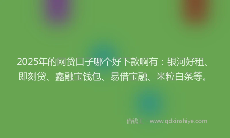 2025年的网贷口子哪个好下款啊有：银河好租、即刻贷、鑫融宝钱包、易借宝融、米粒白条等。