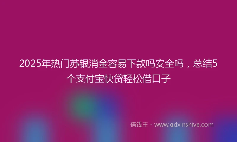 2025年热门苏银消金容易下款吗安全吗，总结5个支付宝快贷轻松借口子