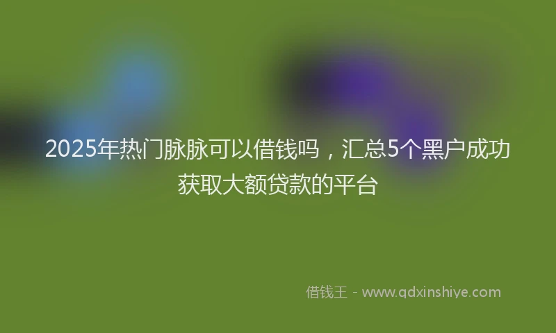 2025年热门脉脉可以借钱吗，汇总5个黑户成功获取大额贷款的平台