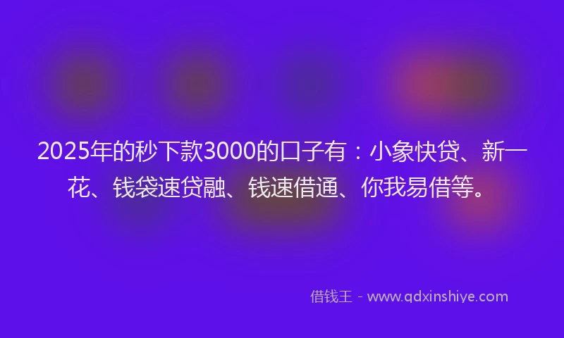 2025年的秒下款3000的口子有：小象快贷、新一花、钱袋速贷融、钱速借通、你我易借等。