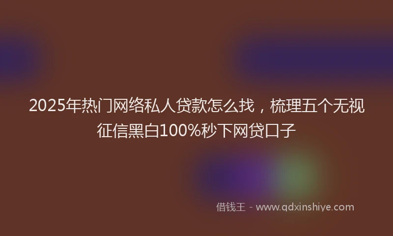 2025年热门网络私人贷款怎么找，梳理五个无视征信黑白100%秒下网贷口子