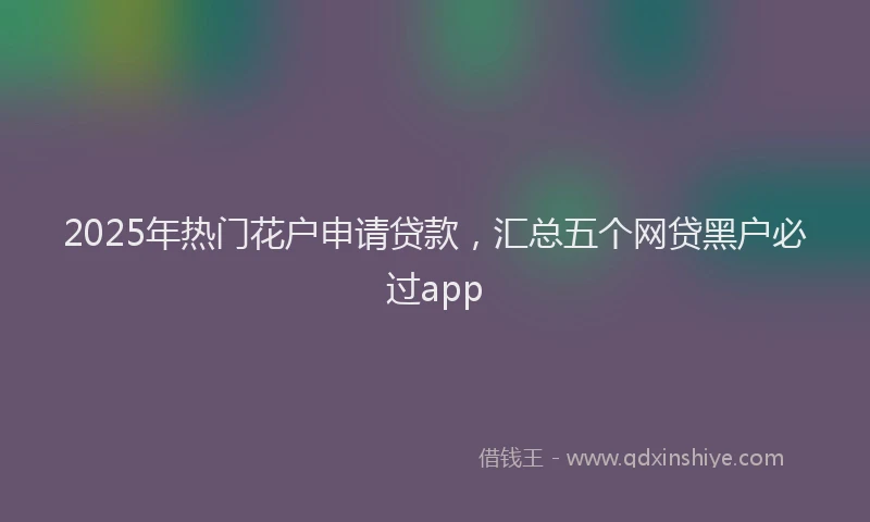 2025年热门花户申请贷款，汇总五个网贷黑户必过app