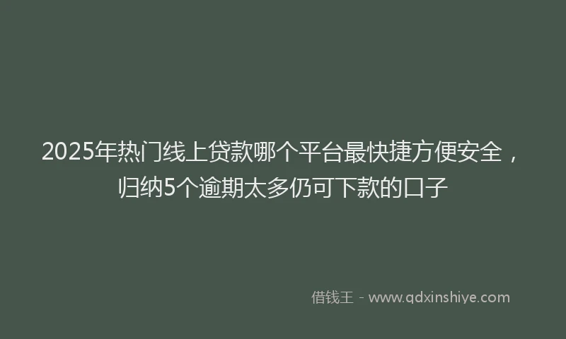 2025年热门线上贷款哪个平台最快捷方便安全，归纳5个逾期太多仍可下款的口子
