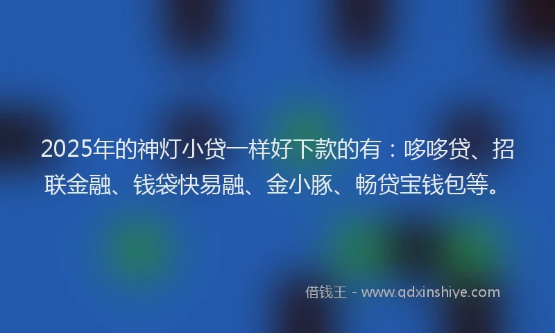 2025年的神灯小贷一样好下款的有：哆哆贷、招联金融、钱袋快易融、金小豚、畅贷宝钱包等。