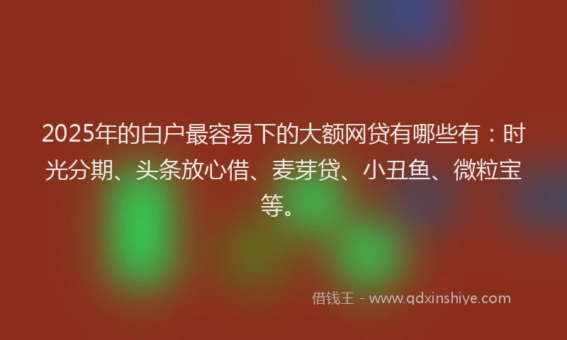 2025年的白户最容易下的大额网贷有哪些有：时光分期、头条放心借、麦芽贷、小丑鱼、微粒宝等。