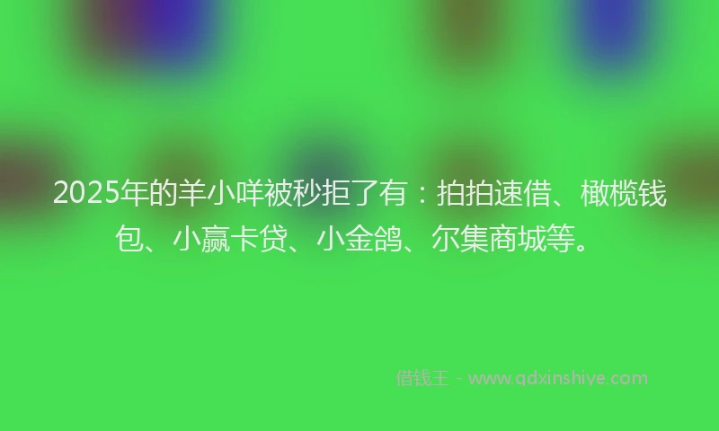 2025年的羊小咩被秒拒了有：拍拍速借、橄榄钱包、小赢卡贷、小金鸽、尔集商城等。