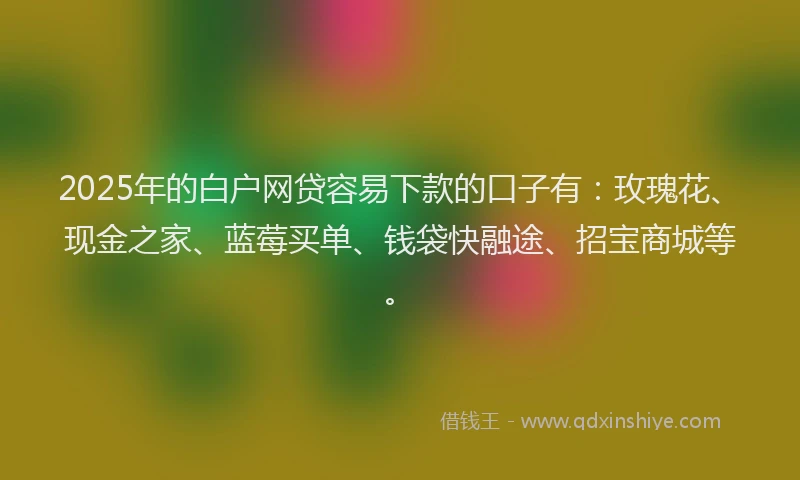 2025年的白户网贷容易下款的口子有：玫瑰花、现金之家、蓝莓买单、钱袋快融途、招宝商城等。