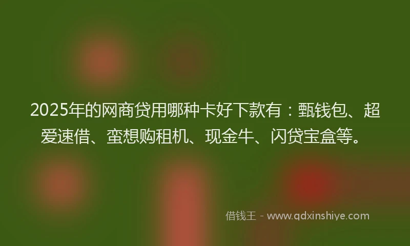 2025年的网商贷用哪种卡好下款有：甄钱包、超爱速借、蛮想购租机、现金牛、闪贷宝盒等。