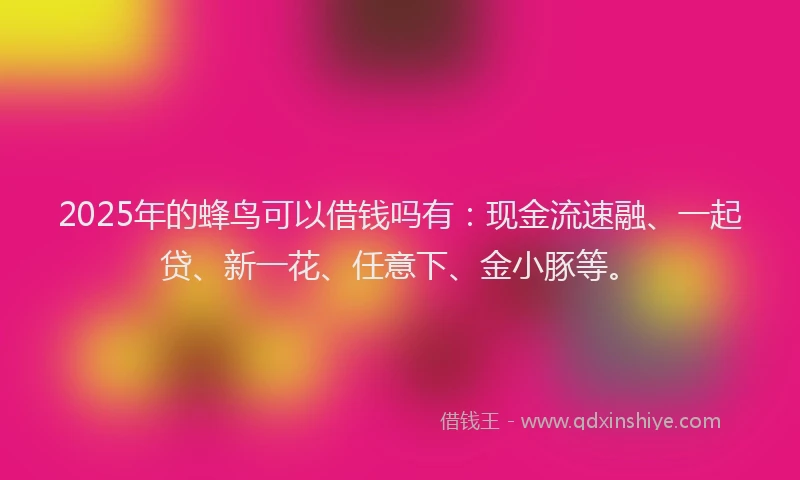 2025年的蜂鸟可以借钱吗有：现金流速融、一起贷、新一花、任意下、金小豚等。