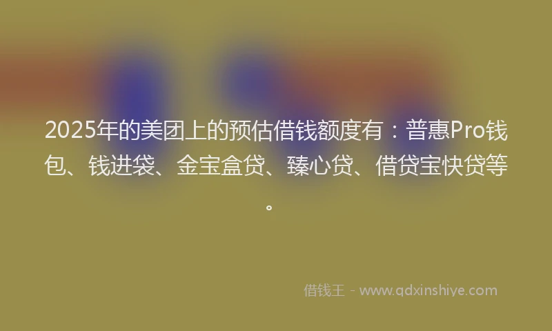 2025年的美团上的预估借钱额度有：普惠Pro钱包、钱进袋、金宝盒贷、臻心贷、借贷宝快贷等。