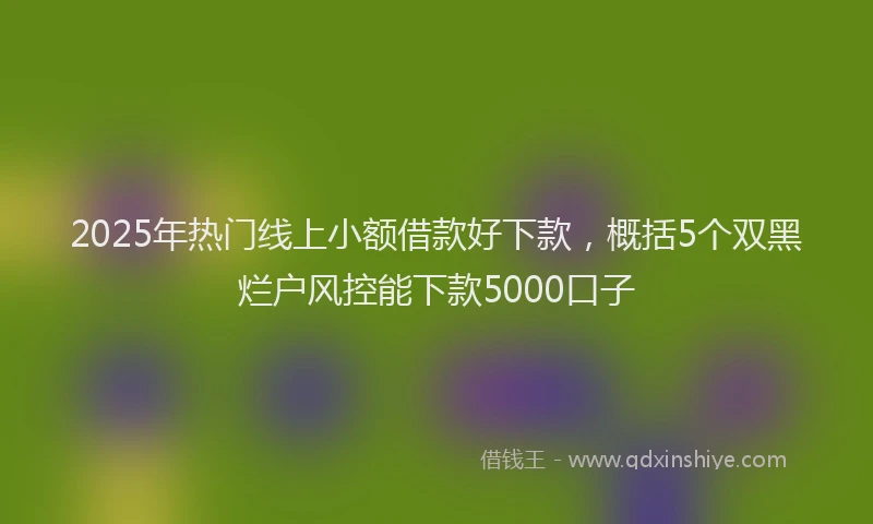 2025年热门线上小额借款好下款，概括5个双黑烂户风控能下款5000口子