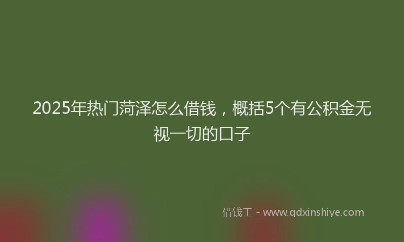 2025年热门菏泽怎么借钱，概括5个有公积金无视一切的口子