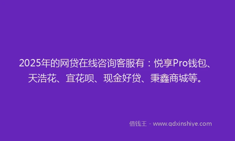 2025年的网贷在线咨询客服有：悦享Pro钱包、天浩花、宜花呗、现金好贷、秉鑫商城等。
