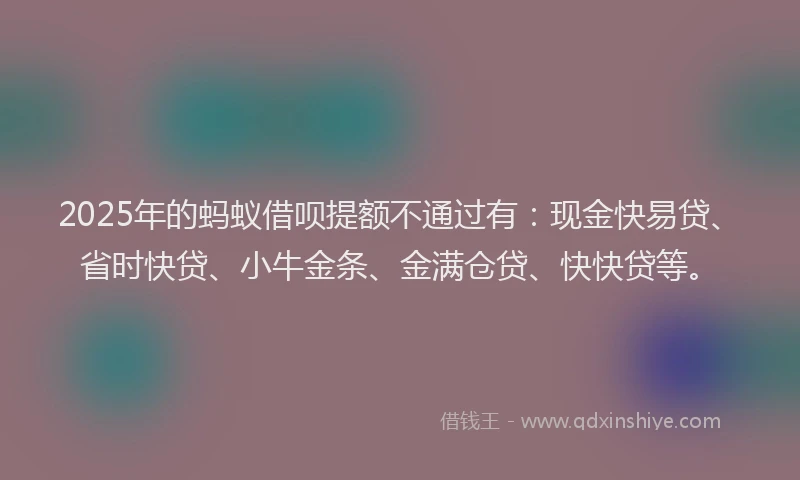 2025年的蚂蚁借呗提额不通过有：现金快易贷、省时快贷、小牛金条、金满仓贷、快快贷等。