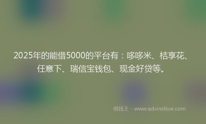 2025年的能借5000的平台有：哆哆米、桔享花、任意下、瑞信宝钱包、现金好贷等。