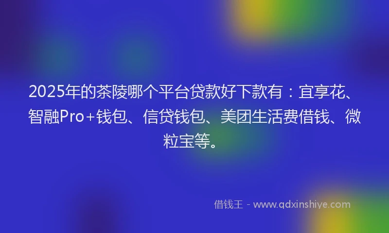 2025年的茶陵哪个平台贷款好下款有：宜享花、智融Pro+钱包、信贷钱包、美团生活费借钱、微粒宝等。