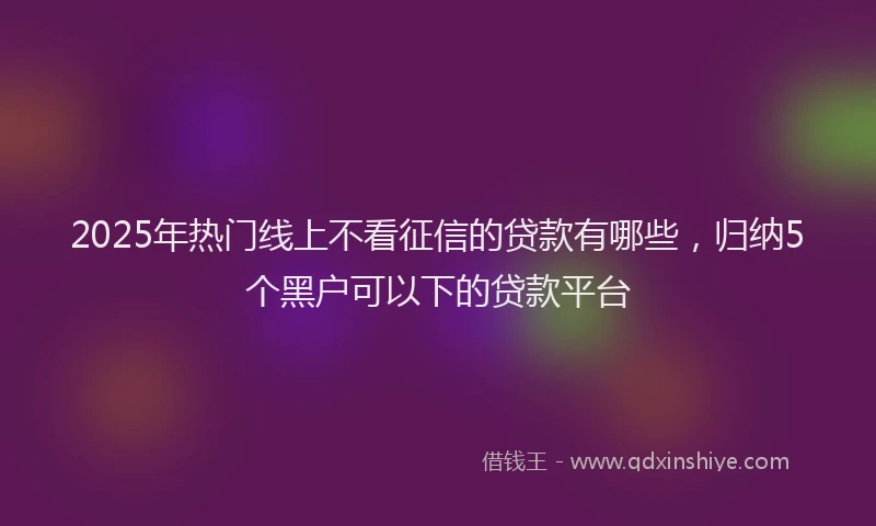 2025年热门线上不看征信的贷款有哪些，归纳5个黑户可以下的贷款平台