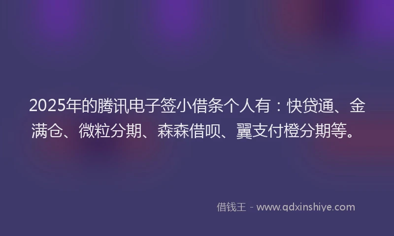 2025年的腾讯电子签小借条个人有：快贷通、金满仓、微粒分期、森森借呗、翼支付橙分期等。