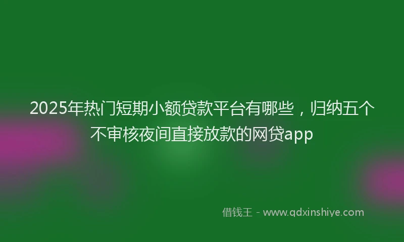 2025年热门短期小额贷款平台有哪些，归纳五个不审核夜间直接放款的网贷app