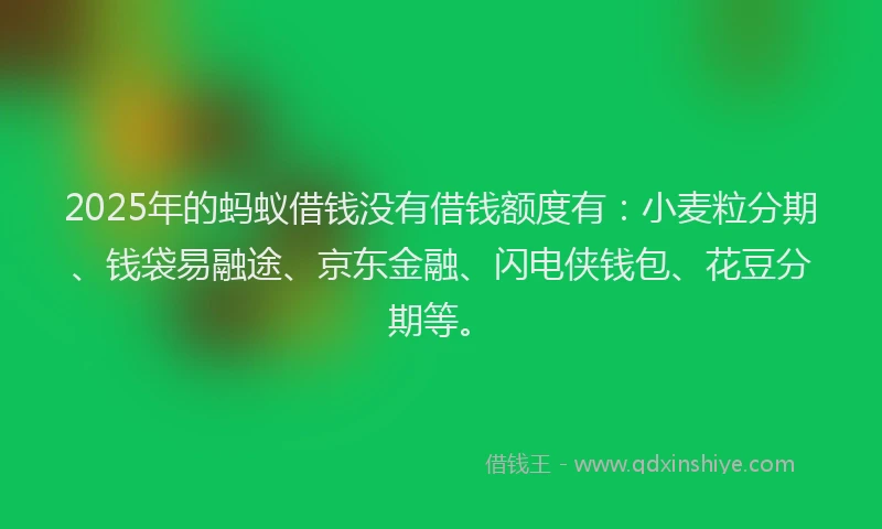 2025年的蚂蚁借钱没有借钱额度有：小麦粒分期、钱袋易融途、京东金融、闪电侠钱包、花豆分期等。