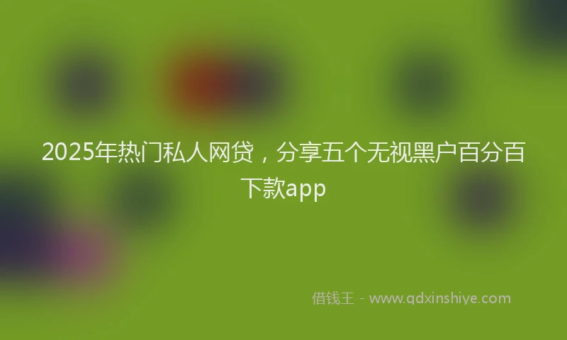 2025年热门私人网贷，分享五个无视黑户百分百下款app