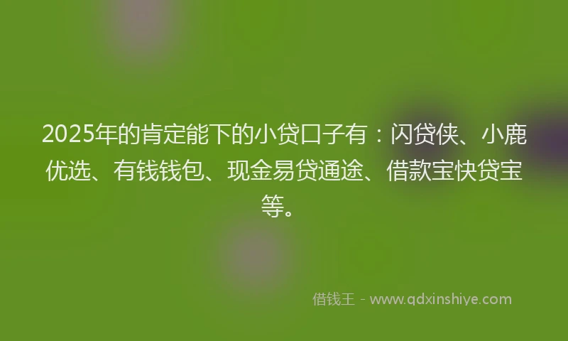 2025年的肯定能下的小贷口子有：闪贷侠、小鹿优选、有钱钱包、现金易贷通途、借款宝快贷宝等。