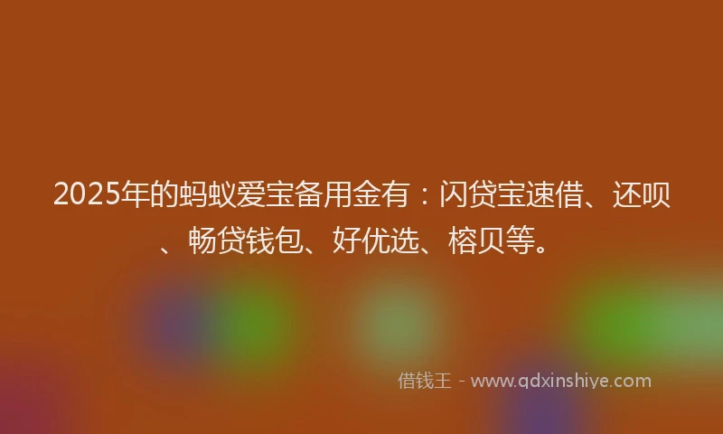2025年的蚂蚁爱宝备用金有：闪贷宝速借、还呗、畅贷钱包、好优选、榕贝等。