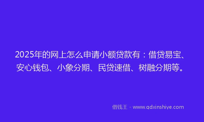 2025年的网上怎么申请小额贷款有：借贷易宝、安心钱包、小象分期、民贷速借、树融分期等。