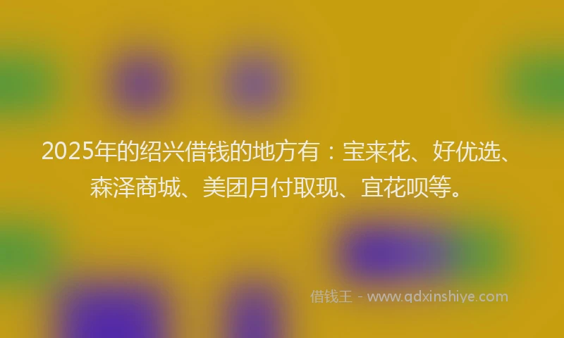 2025年的绍兴借钱的地方有：宝来花、好优选、森泽商城、美团月付取现、宜花呗等。