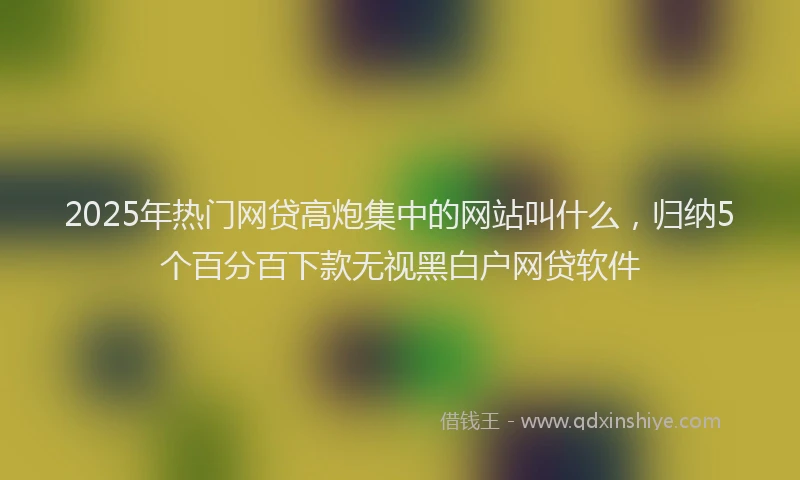 2025年热门网贷高炮集中的网站叫什么，归纳5个百分百下款无视黑白户网贷软件
