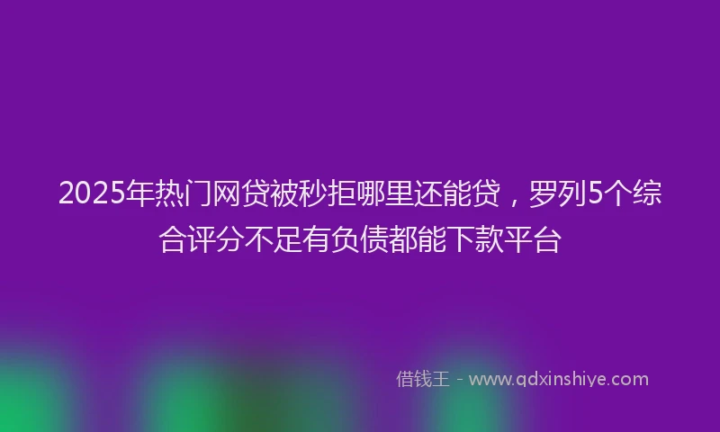 2025年热门网贷被秒拒哪里还能贷，罗列5个综合评分不足有负债都能下款平台